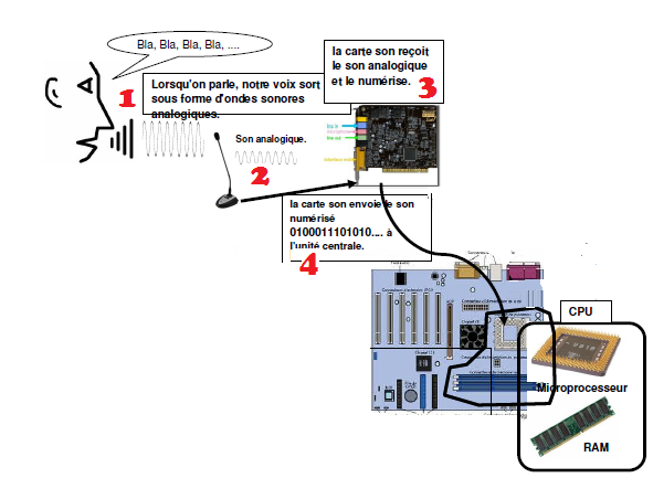 entrée des informations